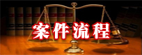 案件流程